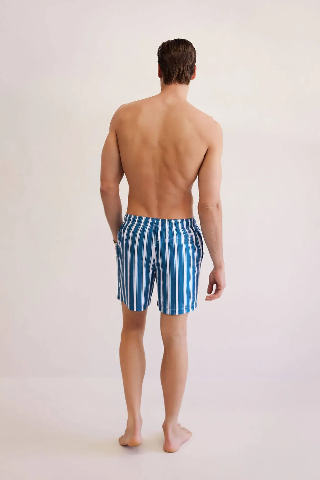 Cabana Stripe Swim Short